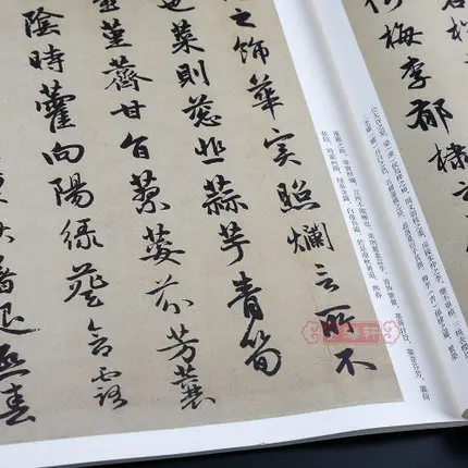 Книга китайской каллиграфии с надписью Shu Fa Mo Bi Zi Zhao Men Fu Xing |