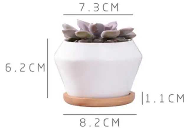 Чистый белый фарфор суккуленты зеленое растение цветочные горшки с деревянной основой Творческий лаконичный Настольная Ваза - Цвет: 1