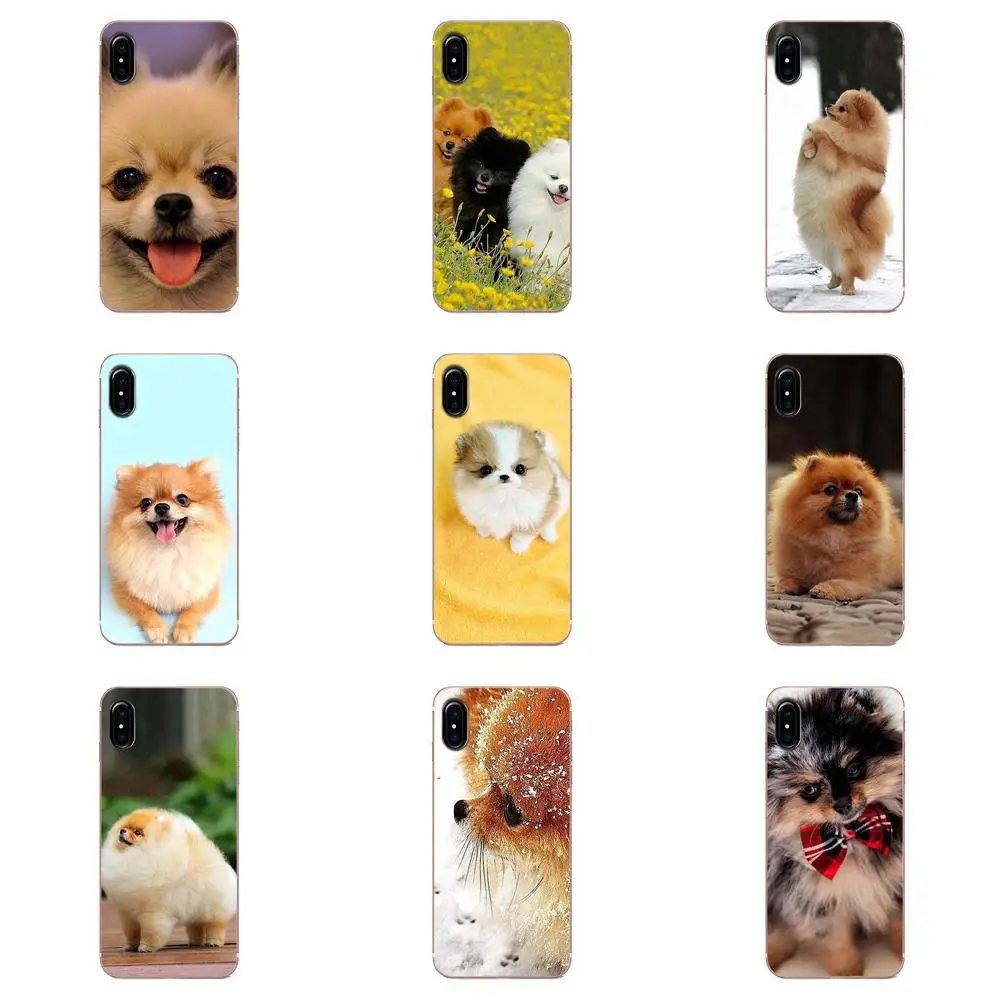 Милый чехол для телефона Pomeranian Dogs с красочным дизайном Apple iPhone 4 4S 5 5C 5S SE 6 6S 7 8 Plus X XS