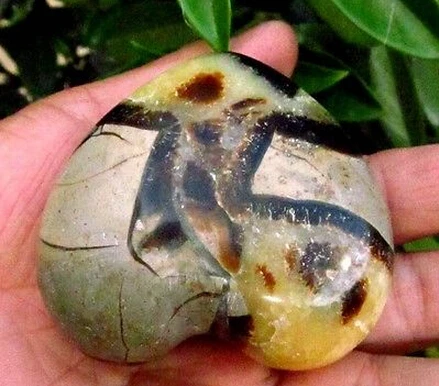 Натуральный Полированный септариевый дракон исцеление сердца|healing|healing stones |