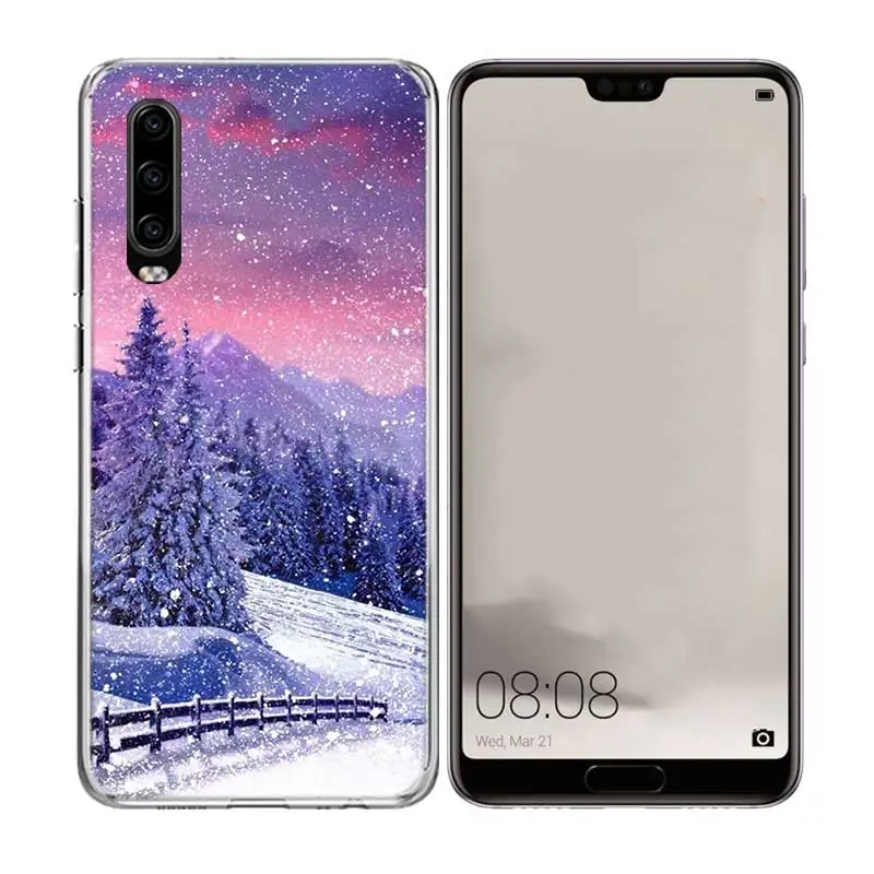 Роскошный чехол для телефона с зимними снежными цветами для huawei P30 P20 P10 lite Plus mate 20X20 10 Pro P Smart+ Nova 4