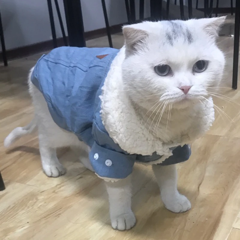 Теплая хлопковая одежда для домашних животных, котов для кошек, зимняя джинсовая куртка для кошек, утепленная куртка Gatos kedi Mascotas, одежда Ropa Para Gato
