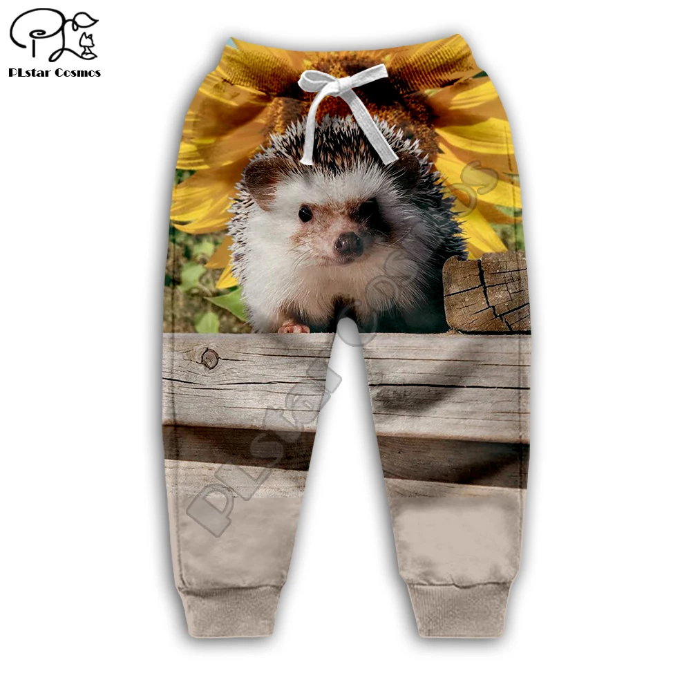 

Family for boy girl clothing Cartoon Hedgehog 3d print Kids Funny Hoodies/zipper/long sleeve sweatshirt pants cute child set
