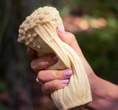 Free Shipping 1pc 2014 Creative Stress Mushroom Plants Squeeze Toy Novelty Tempting Mushroom- Enoki | Игрушки и хобби
