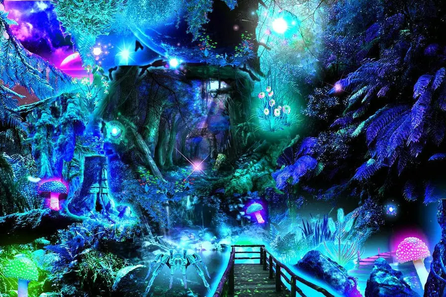 

Magical Forest Mushroom magic background High quality Computer print children kids photo backdrop