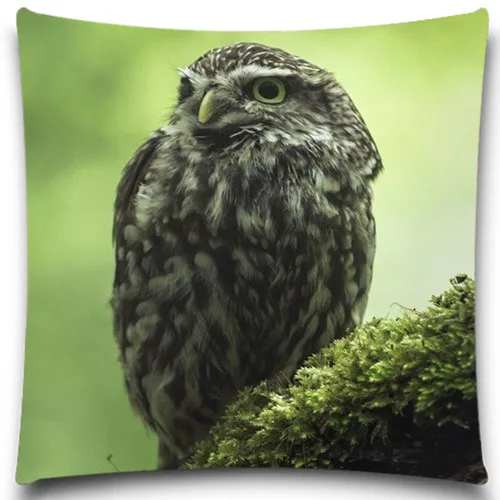 Чехол Подушка квадратная из хлопка с рисунком животных и совы|cushion cover|pillow case