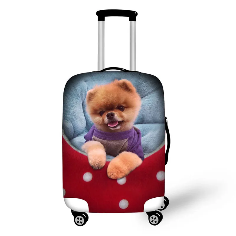 Meng pet маленькие животные с рисунком для путешествий стрейчевый чехол от дождя |