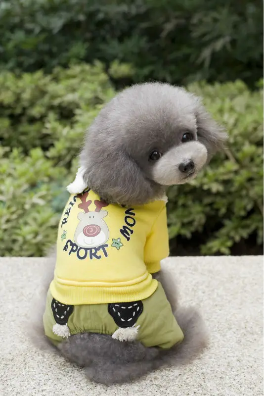 Бесплатная доставка зимняя хлопковая одежда для домашних питомцев FY134