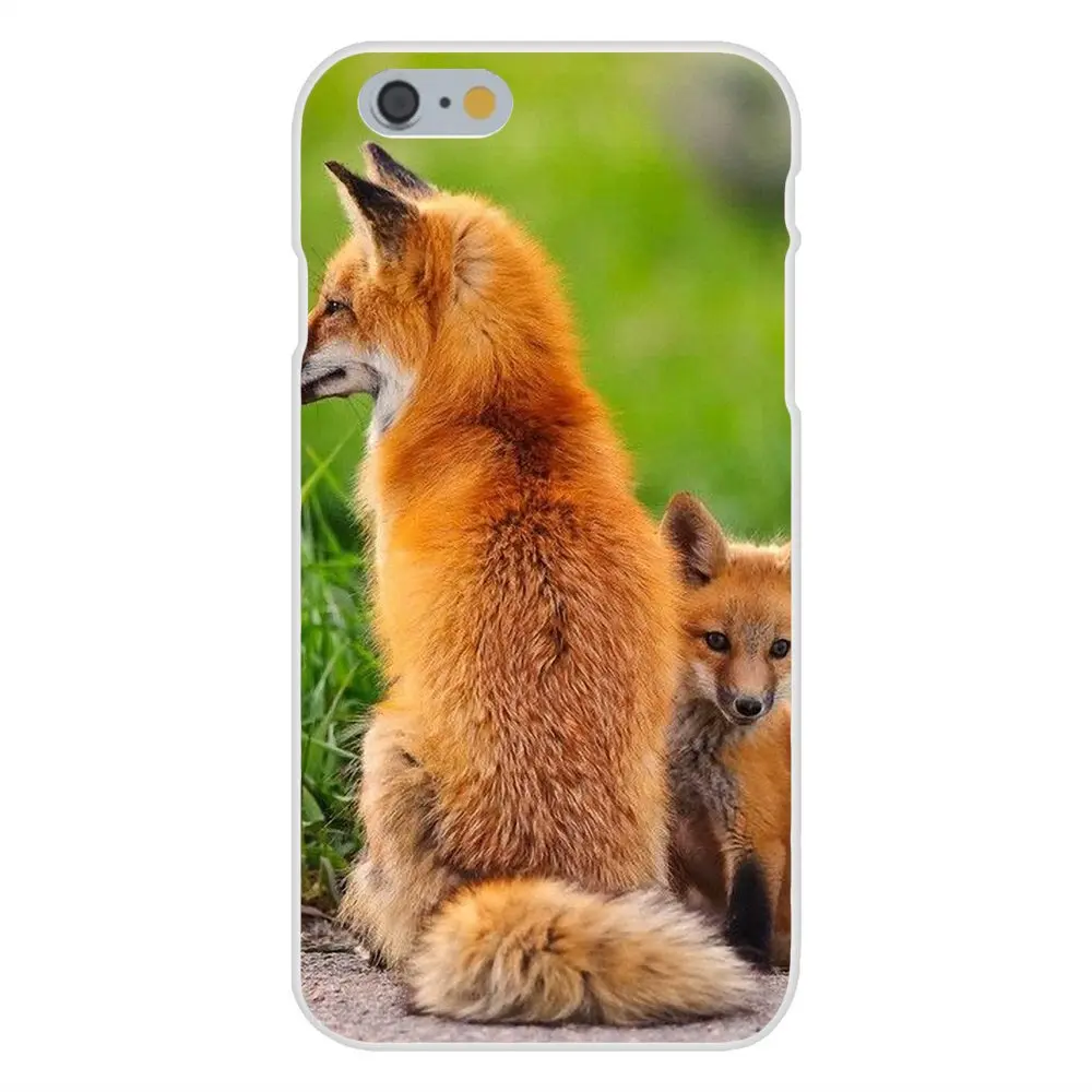 Мягкие защитные чехлы из ТПУ для Apple iPhone X XS Max XR 4 4S 5 5C 5S SE 6 6S 7 8 Plus Animal Fox | Мобильные