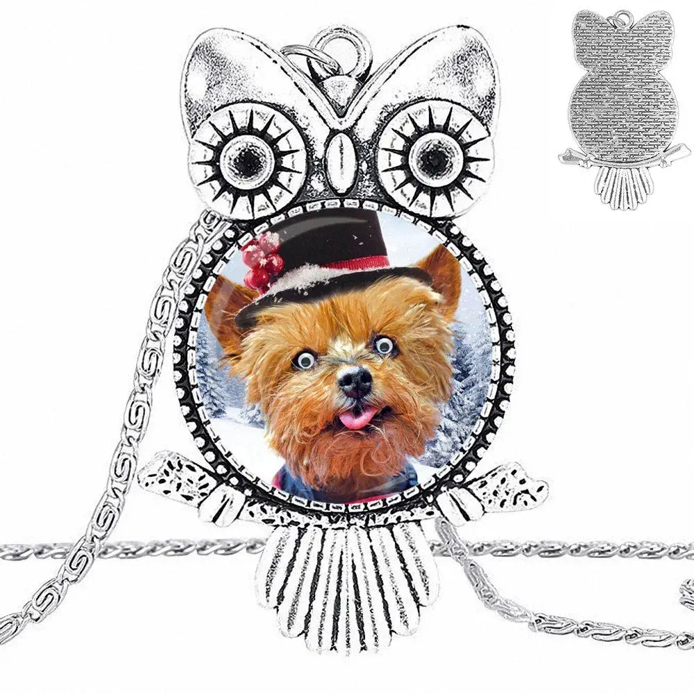 EJ глянцевое модное ожерелье с подвеской-кабошоном Женское Ожерелье-чокер совой