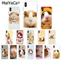maiyaca squirrel guinea pig mouse peanut greedy custom photo phone case for apple iphone 11 pro 8 7 66s plus x xs max 5s se xr