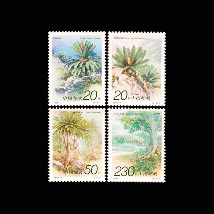 

4 PCS / Set China Plants All New Postage Stamps For Collecting 1996-7