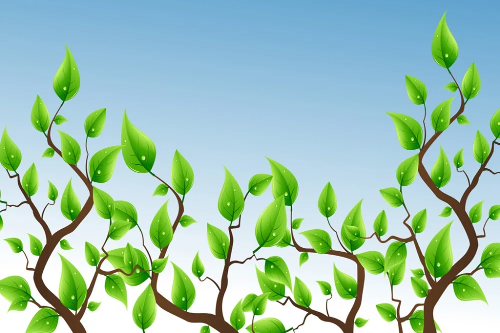 

Custom any size fashion window curtains modern window curtains green leaf modern curtains for bedroom