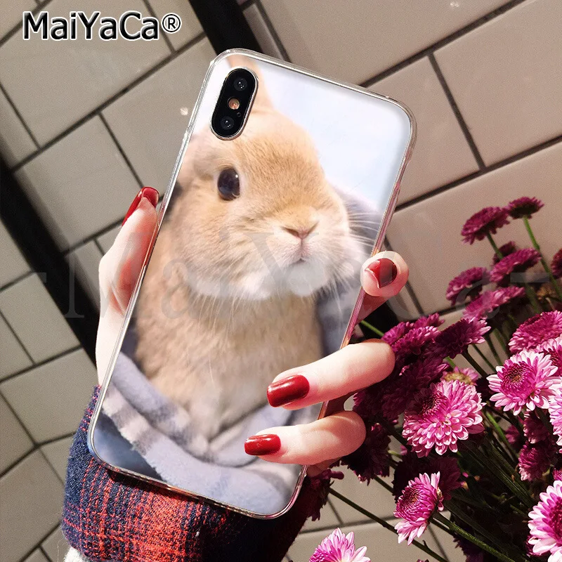 A7 MaiYaCa, мягкий чехол для телефона из ТПУ с милым рисунком кролика, кролика, для Apple iPhone 8, 7, 6, 6S Plus, X, XS, MAX, 5, 5S, SE, XR - Цвет: A7