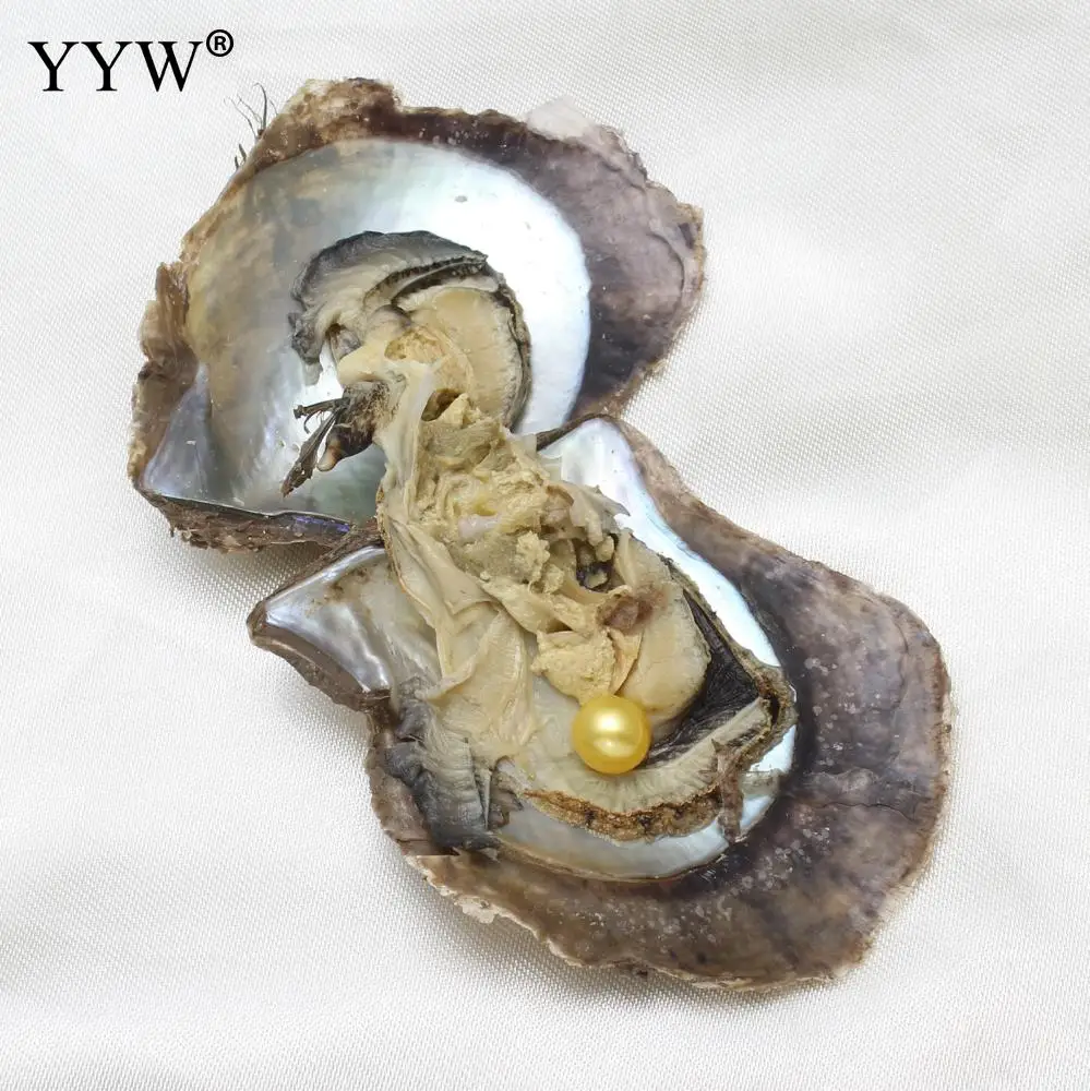10 шт./лот вакуумная упаковка 7-8 мм круглый жемчуг Akoya устричные бусины нож Устрица