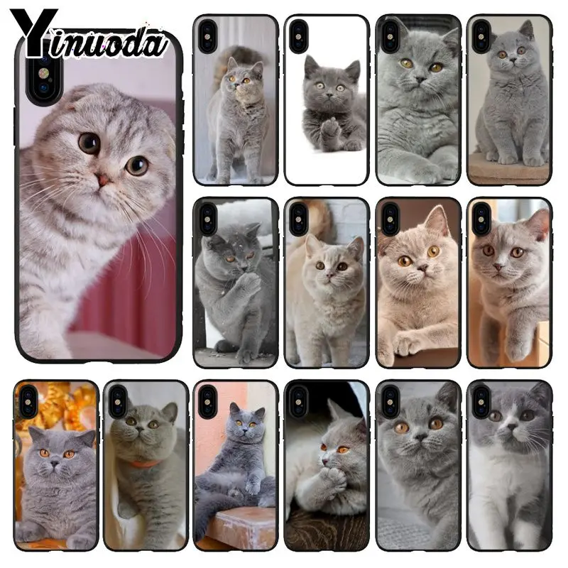 Чехол для Apple iPhone 8 7 6 6S Plus X XS MAX 5 5S SE XR | Мобильные телефоны и аксессуары
