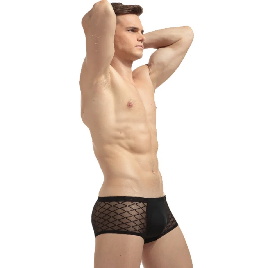 New Style Sexy Mesh Underwear Men Boxer Gay U Pouch Cuecas Shorts Mens Boxers | Мужская одежда