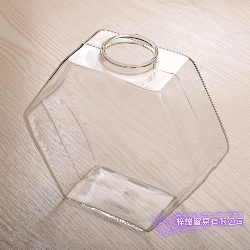 Шестигранная ваза Рождественский шестигранник настенный Террариум стеклянная