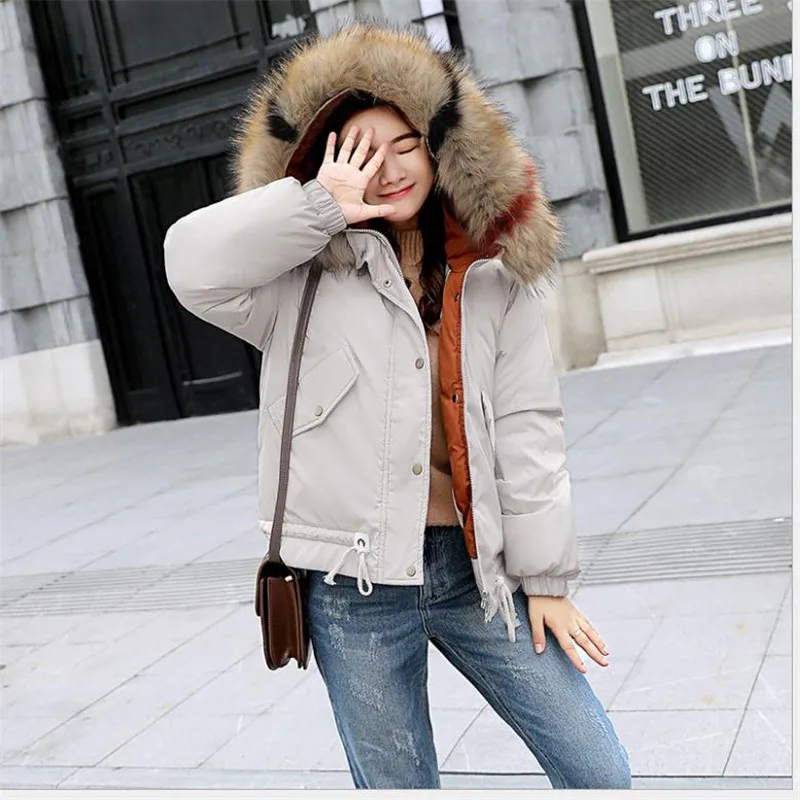 Новинка 2018 модная Толстая цветная пуховая парка с меховым воротником и капюшоном