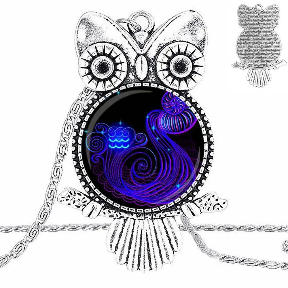 EJ Glaze For Girls Statement Maxi 12 Constellation Leo Virgo Glass Cabochon Pendant Necklace Owl Fashion | Украшения и аксессуары