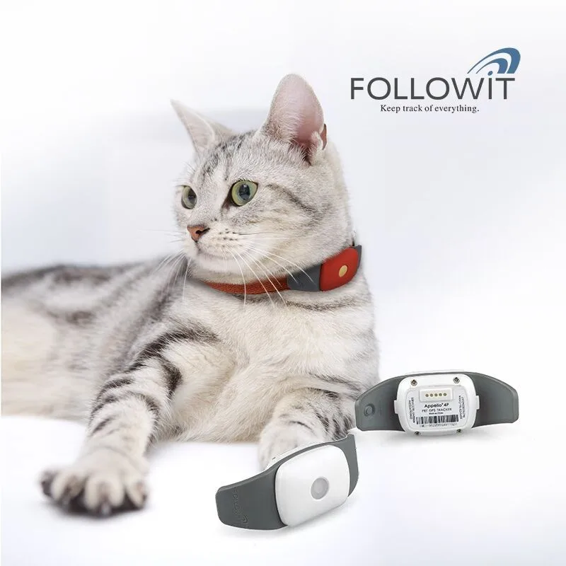 Pet GPS трекер кошка локатор бесплатное приложение отслеживания followit appello 4 P Высокое