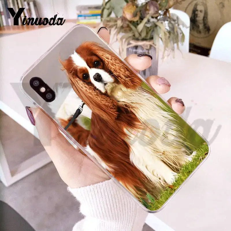 Прозрачный чехол Yinuoda для iphone 7 6 X iPhone 8 6S Plus 10 5 5S SE 5C XS XR|Бамперы| |
