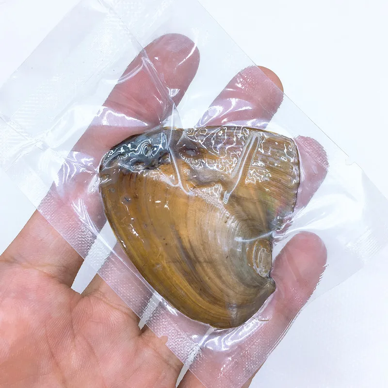Вакуумная упаковка из пресноводного жемчуга Oyster Wish жемчужная Мидия с жемчугом