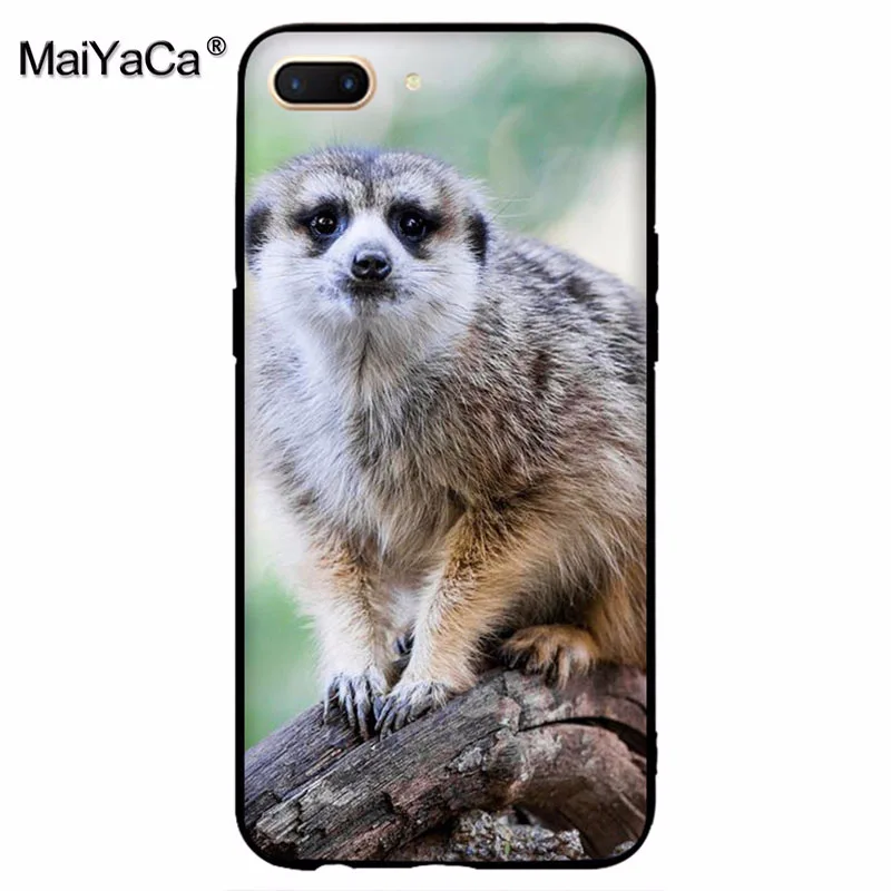 MaiYaCa animal mob of meerkats Diy защитный чехол для сотового телефона OPPO R9 R9S R11 PLUS casefor vivo X9 X20 |