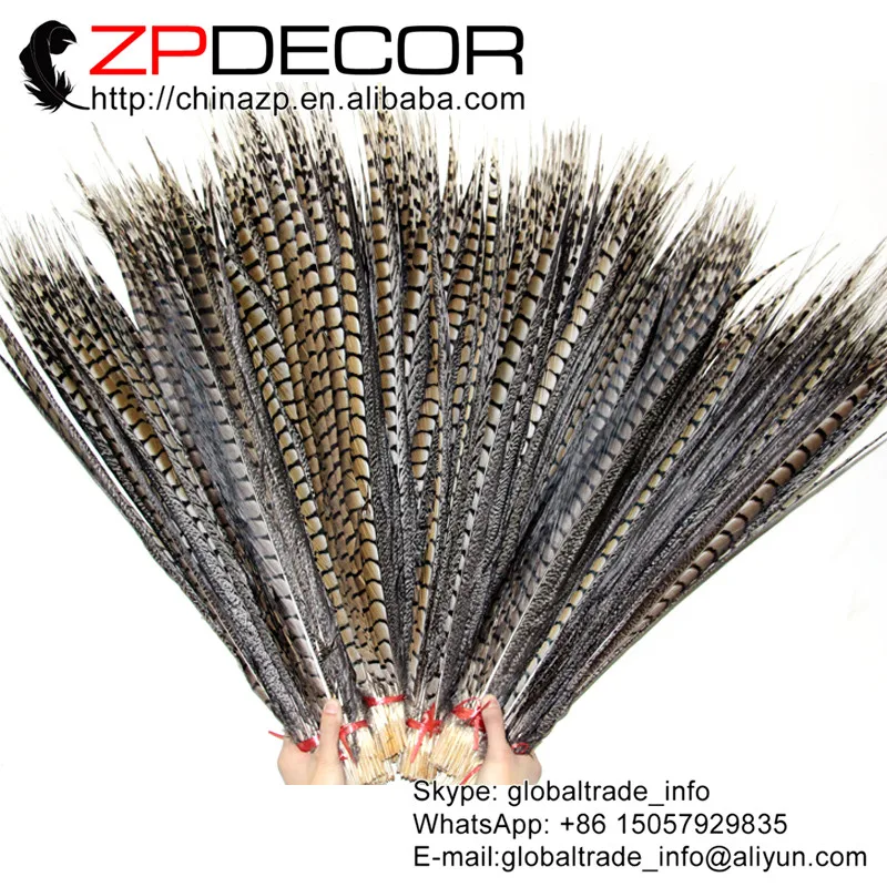 

Manufactory ZPDECOR 28-32inch(70-80cm) 50pieces/lot Handcraft Natural Lady Amherst Pheasant Tail Feathers