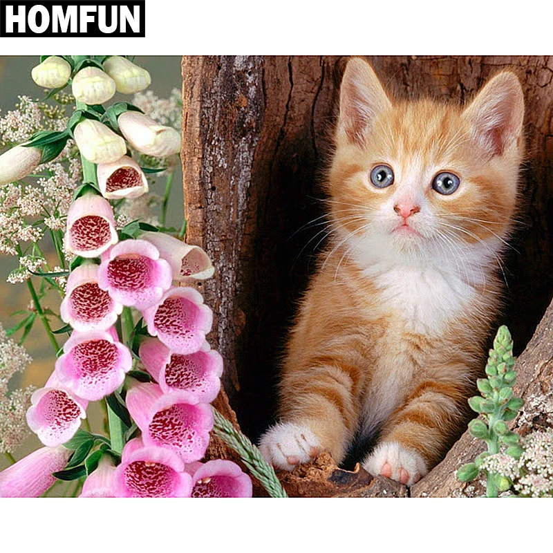 HOMFUN полный квадрат/круглая дрель 5D DIY Алмазная картина &quotживотное кошка&quot