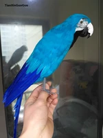 large 40cm simulation bird blue feathers parrot bird model handicraft garden decoration photography props h0919