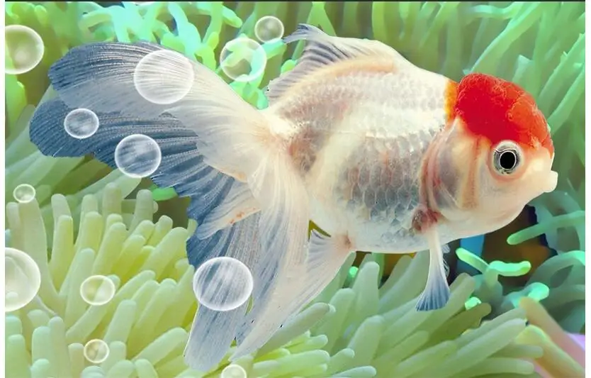 3d обои на заказ фото нетканые настенные картины красивые Подводные украшения