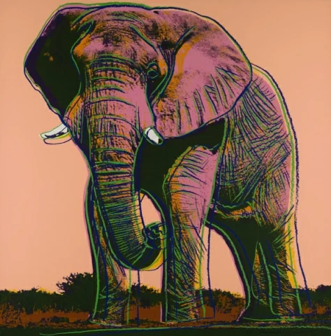 Настенный арт поп-арт Andy Warhol, носорог, Орел, тигр, барашек, исчезающее животное, холст, плакат, холст, картина маслом, домашний декор - Цвет: pic 6