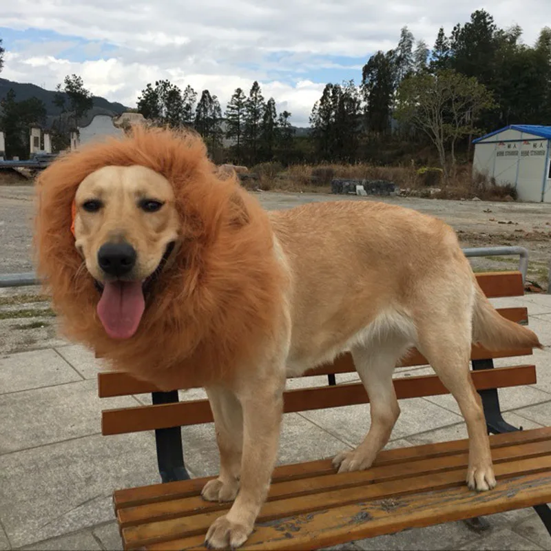 Светло коричневый большой собаки парик Необычные Наряжаться Pet Костюм Собака