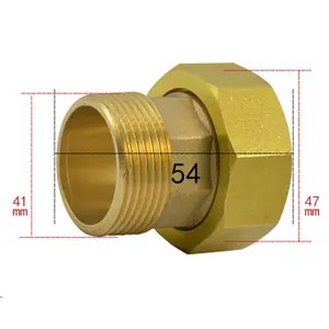 1-12 дюйма BSP мама к 1-14 дюйма BSP папа Шестигранная латунная Соединительная труба Фитинг воды газа масла для счетчика воды