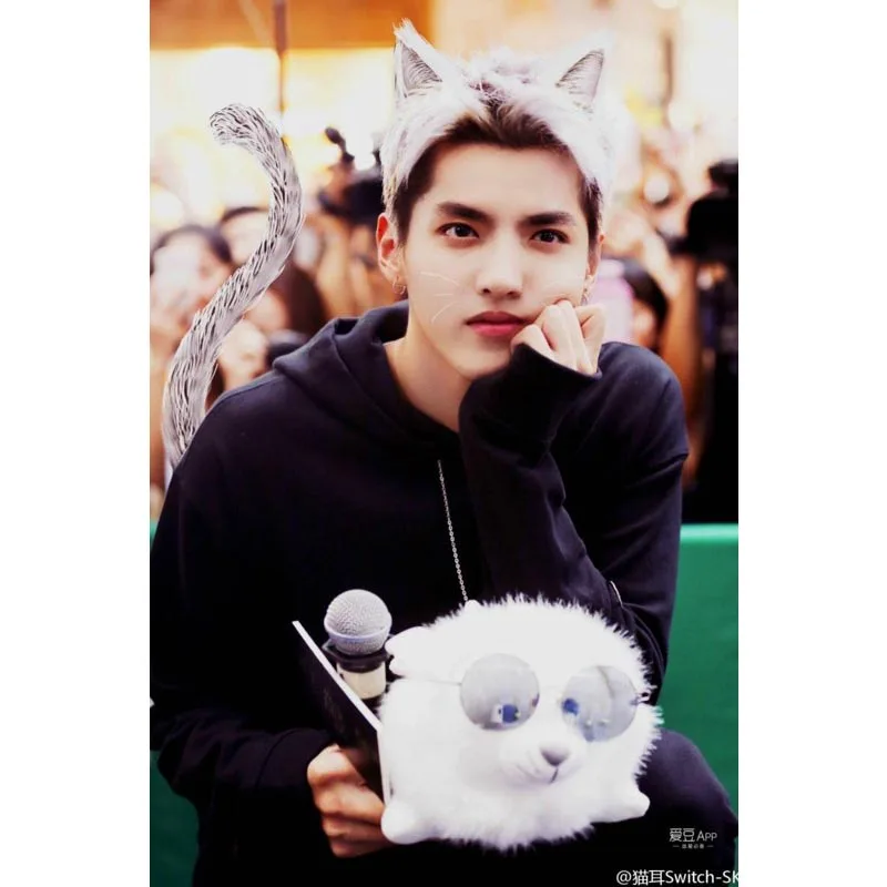 Kris wu холст ткань тканевый плакат пользовательские граффити Печать на холсте