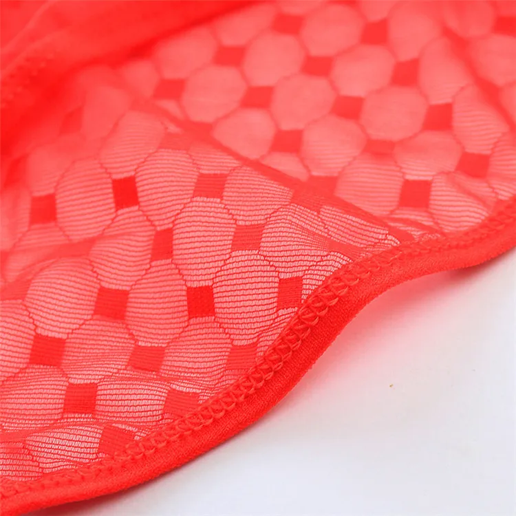 New Women Sexy Seamless Briefs Ultra-Thin Transparent Flower Embroidered Patterned Underwear Cotton Lace Panties 3318