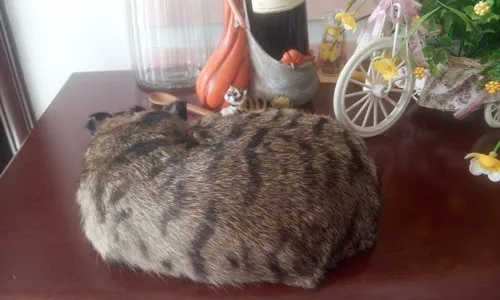 Имитация животных, большая модель кошки 27x21x10 см, Реалистичная Спящая кошка, игрушка для кошки, украшение, подарок t470