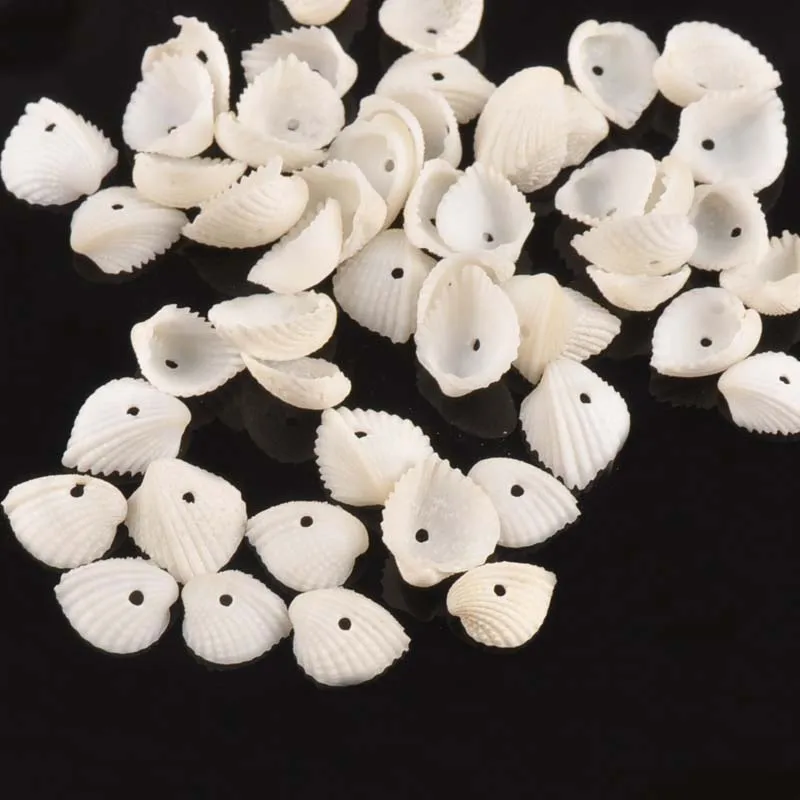 100 шт мини натуральный сектор оболочки для скрапбукинга ремесла морские бусы