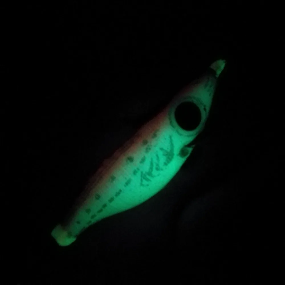 5 шт. 8 г/100 мм искусственная фотомагнитная приманка|fishing tackle|luminous fishingsquid jigs |