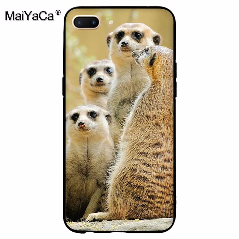 MaiYaCa animal mob of meerkats Diy защитный чехол для сотового телефона OPPO R9 R9S R11 PLUS casefor vivo X9 X20 |