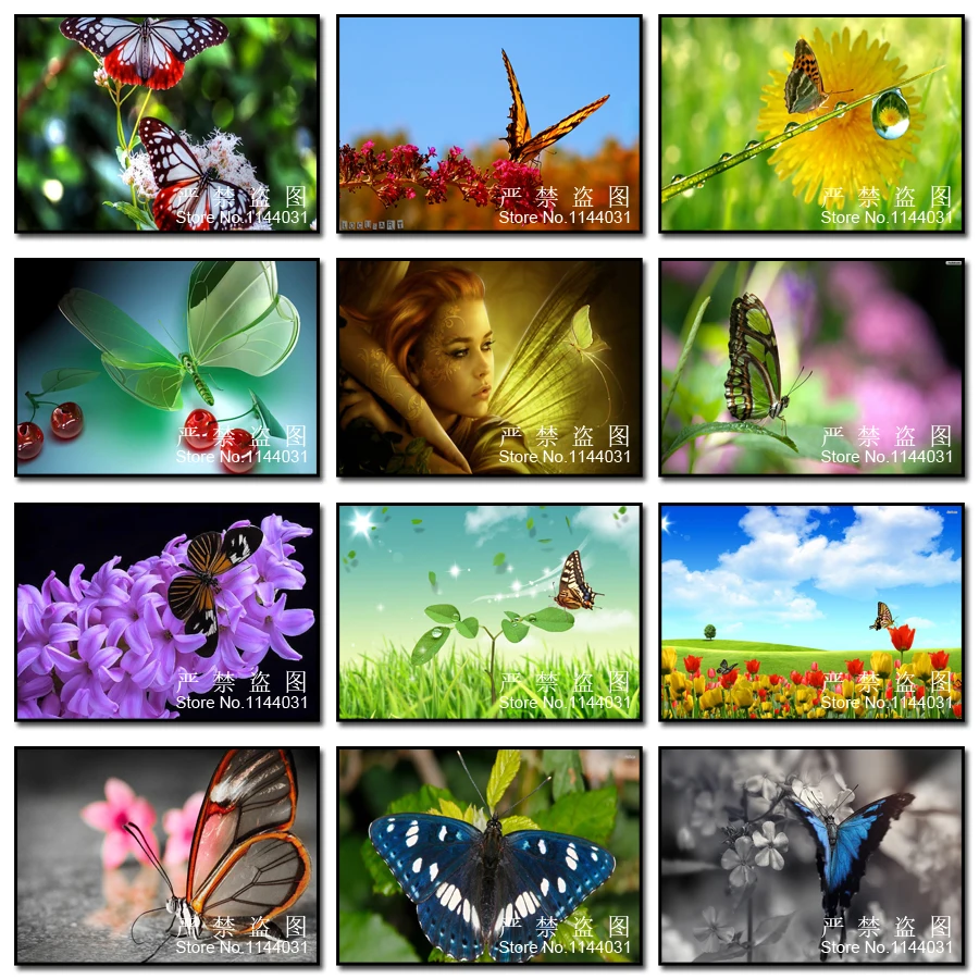 5D алмазная вышивка с бабочками и цветами сделай сам рукоделие картина подарок|craft