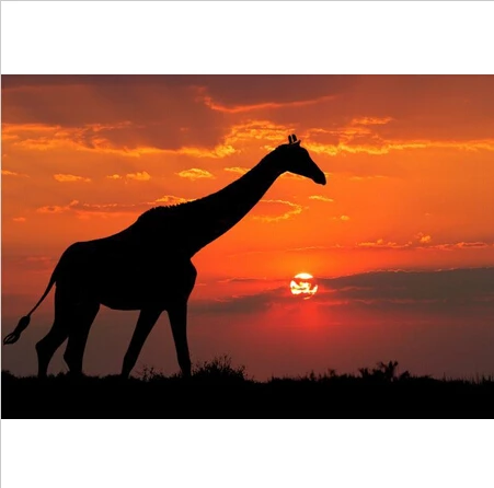 Ручная роспись абстрактная фотография закат пейзаж подвесные картины