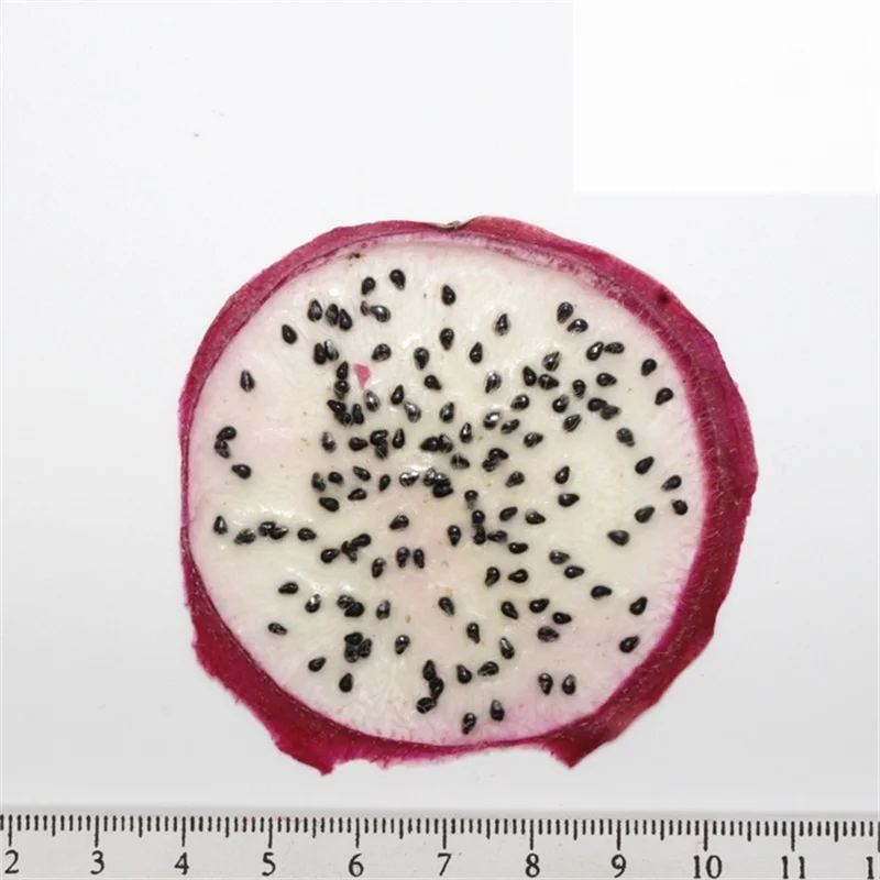 Pitaya CHUANGGE сушеные фрукты нарезанные DIY ручной работы свечи изготовления поставки оранжевый грейпфрут арбуз карамбола образцы воск украшения - Цвет: Pitaya