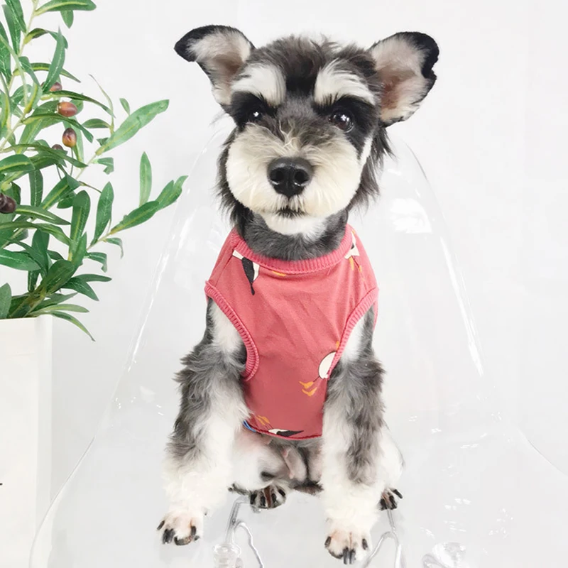 Хлопковая летняя Классная жилетка для собаки с принтом чайки одежда маленьких