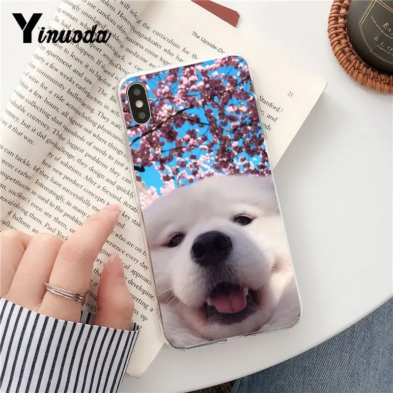 Yinuoda Dog Pomeranian Новое поступление Прозрачный чехол для телефона iPhone 5 5Sx 6 7 7plus 8 8Plus X XS