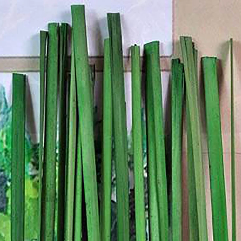 35 шт. зеленые высушенные листья кошачий хвост 55 см длина настоящие растения