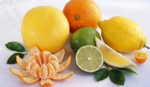 Автоматическая Коммерческая промышленная экстракционная машина для