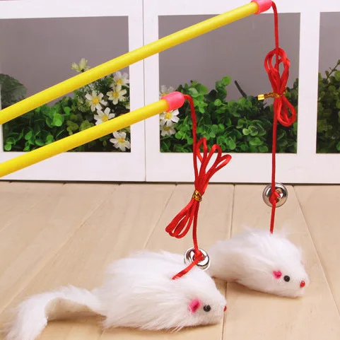 Кошки Играют Игрушки Рекламные Животных Pet Products Supplies &amp Аксессуары Кошка