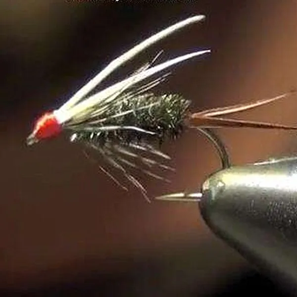 20 шт./лот Brght/темные цвета натуральные турецкие перышки для завязывания рыбалки |